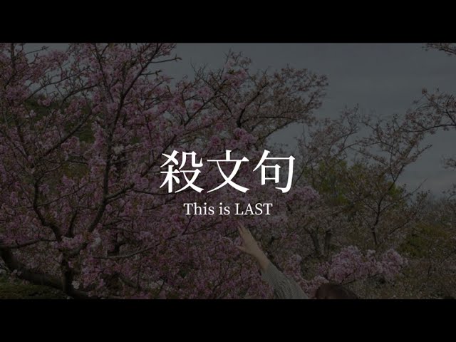 This is LAST 殺文句 サイン入り 【公式通販】