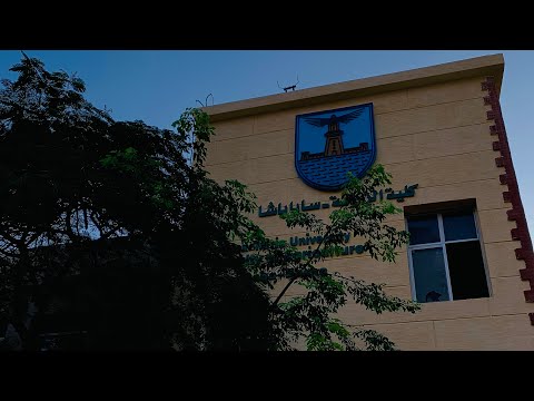 تذكروا أن كل الأحلام تتحقق يا أصدقاء