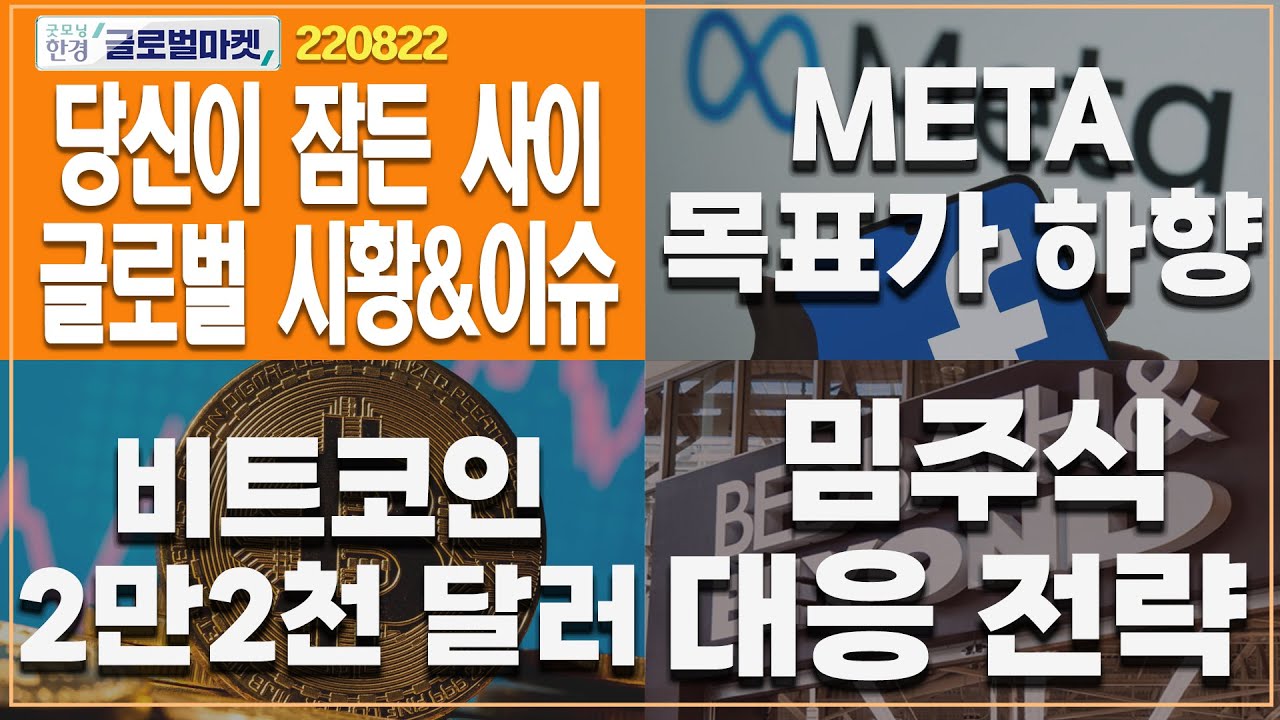 [8월 22일 당신이 잠든 사이] META 목표가 하향ㅣ비트코인 2만 2천달러ㅣ밈주식 대응전략