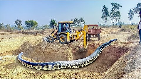 JCB 3dx Backhoe Loading Mud in Mahindra 475 JCB khudai #jcb #jcbmitikhudai