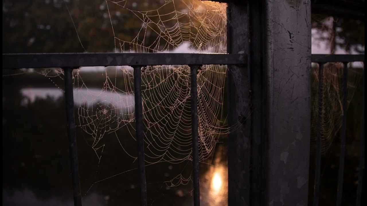 Diary a Novel July 5 ASMR