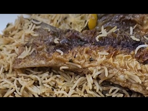 مطبق شيم نجاة الكندري