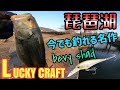 20年以上釣れ続けるルアーに注目！ラッキークラフトのベビーシャッドで真冬の琵琶湖オカッパリで釣る！冬のバス釣りはシャッドが効く！今年も北湖西岸をヘビキャロをメインにおかっぱり！【琵琶湖バス釣り】