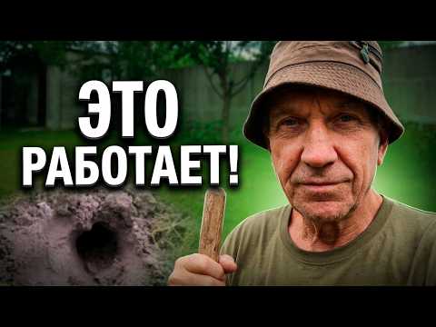 Why are the moles digging again? A solution that works