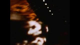 The Human Expression - Love At Psychedelic Velocity