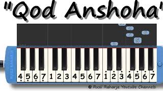 Video thumbnail of "Qod Anshoha not pianika"