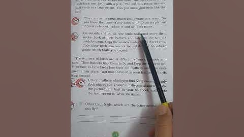 NCERT - EVS, CLASS - 3, Chapter - 8 (Flying High) Video - 3