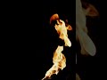 The Ancient Flamethrower (Greek Fire) 🛡️🔥