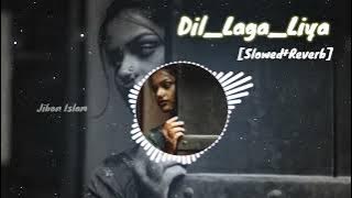 Dil_laga_liya [Slowed Reverb]song.hindiLyrics song.Lo-Fi music and lyrics song
