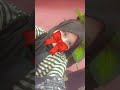 তুমি কই তুমি নেই আমি তোমাকে চাই বারে বার শতবার আমি তোমাকে চাই #shortvideo #video #viral video ⭐✨✨🌿☘️