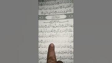 حفظ سورة البلد من ٦ الى ١٠ 🌏