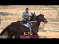 El Niño De O. Vs EL Valiente Vs El Tío  250 VTP 26MAY24 CARRIL DEL TEQUESQUITE MICH