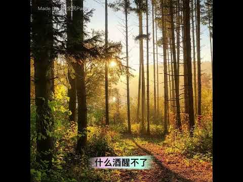 巜朋友别哭》