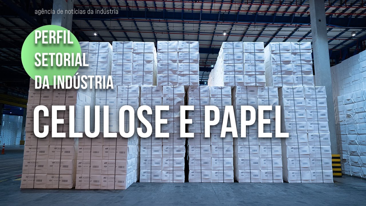 Conheça é a indústria de celulose e papel | 2024 - YouTube