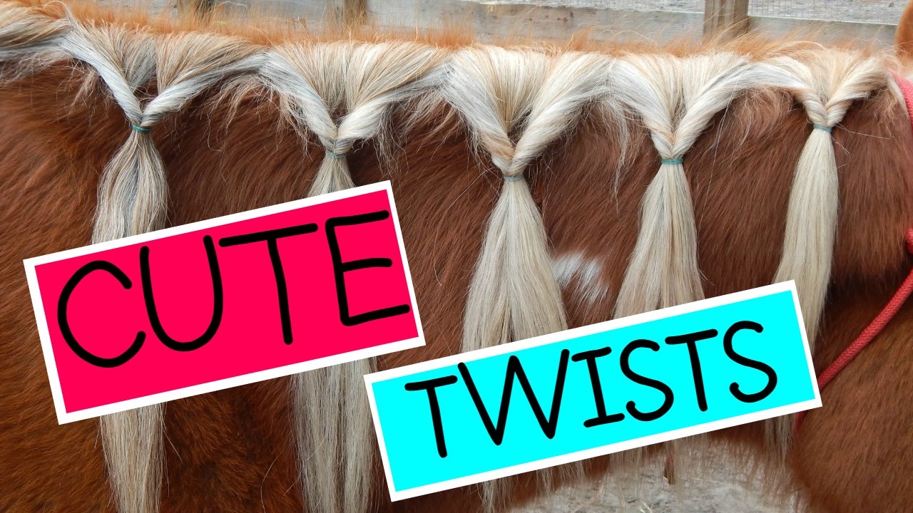 waterfall braid on horse mane horse｜TikTok Search