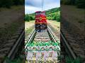 Cute dog beby stop😡 train by dance #trending #cute #funny🤣
