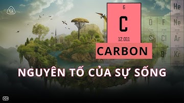 Vì sao mọi sự sống đều dựa trên Carbon (chứ không phải Silicon)