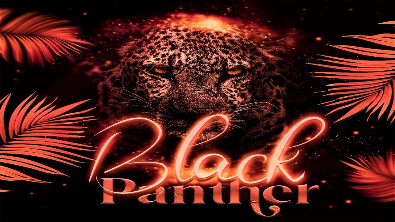 BASE DE USO LIVRE BREGA FUNK - PANTERA NEGRA - INSTRUMENTAL 2022 (Prod. Dodô Diplomata)