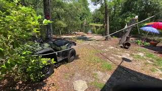 Huge soft shell turtle laying eggs