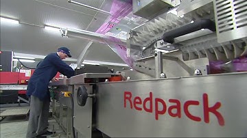 Redpack P325E-FI Flow Wrapper Packaging Apples | www.ProPac.com