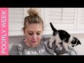 Kittens and Colds! | The New Weekly #10 | LIFESTYLE