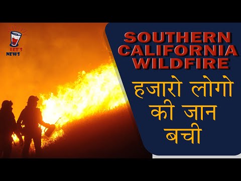 वीडियो: दक्षिणी कैलिफोर्निया जंगल की आग और क्षेत्र में जानवरों पर उनका प्रभाव