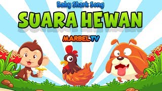 Lagu Anak BABY SHARK - SUARA HEWAN LUCU | Marbel TV Official | KOLAK screenshot 4