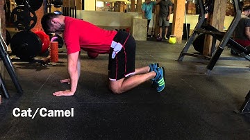 Cat/Camel Spine Segmentation