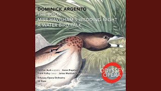 Miss Havisham's Wedding Night: Miss Havisham's Wedding Night: