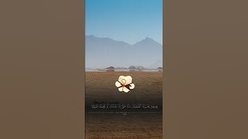 والذين كفروا أعمالهم كسراب بقيعة | سورة النور