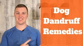 Dog Dandruff Remedies - How To Quickly Eliminate Dog Dandruff