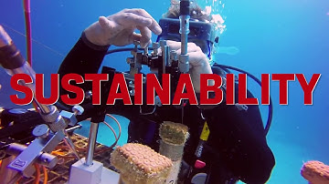 Discovering solutions to global challenges through interdisciplinary research