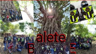 THE GIGANTIC BALETE TREE AT BALER