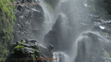 سورة الفرقان صلاة التراويح رمضان 1444هـ