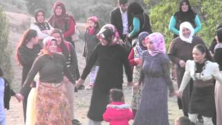 Yaşar Yilmaz 66 Kadir Evinin Aşasi̇nda Halay Gelinle Damat Halayda