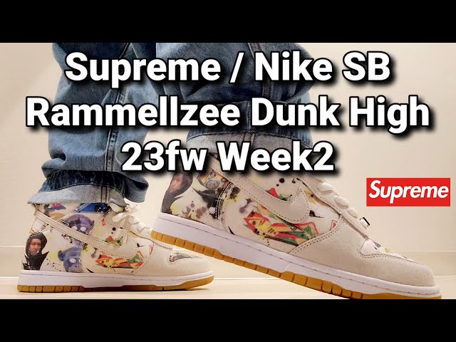 Supreme Nike SB Rammeellzee Dunk High