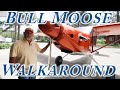 Bull Moose Walkaround with Ray Watson