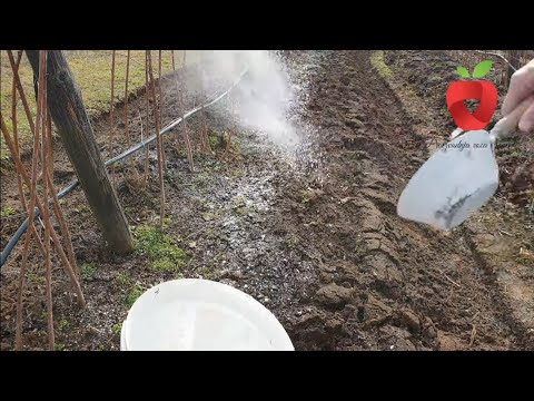 Video: Hoće li najviše utjecati količina organskog materijala?