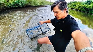 MUD CRAB Thieves Left A Trail? - Catch And Cook by RoKKiT KiT 87,459 views 2 months ago 37 minutes