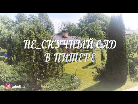 Не_скучный сад в Питере: добро пожаловать