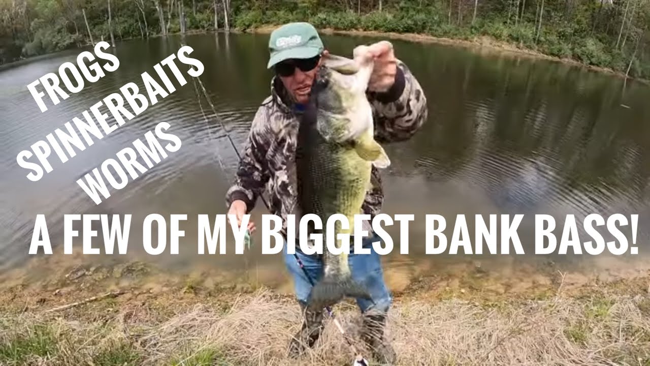 A few of my biggest bass from the bank