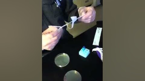 Bacterial Transformation - 3