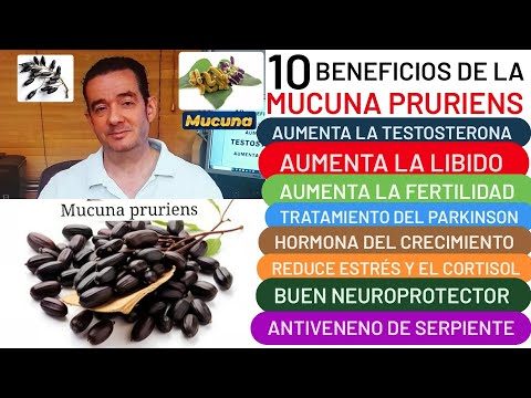 10 beneficios de