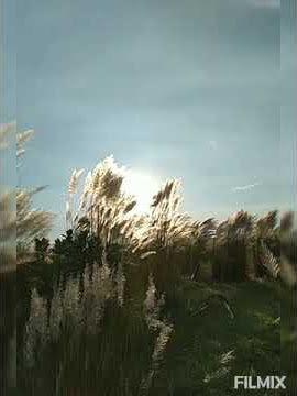 kasful kasbon sarighat