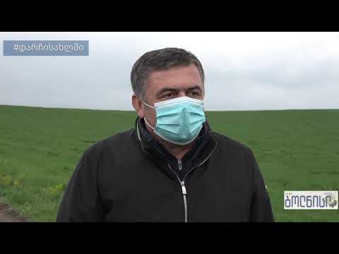 სასოფლო სამეურნეო სამუშაოები მუნიციპალიტეტის ხელმძღვანელმა პირებმა მოინახულეს