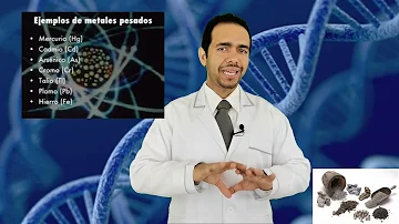 ¿Cómo se siente la toxicidad por metales pesados?