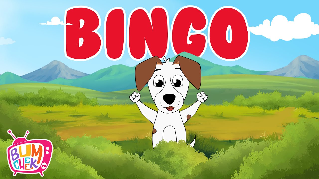 Bingo dog. Dogsong. бинго дог кременки. Bingo dog song. Bingo song.