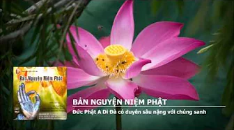 Đức Phật A Di Đà có duyên sâu nặng với chúng sanh 