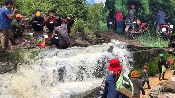Hành Trình Đi Rừng Ngắm Thác Nước Lấy Măng Và Hái Lá Địa Liền - Y Huynh Niê Êđê