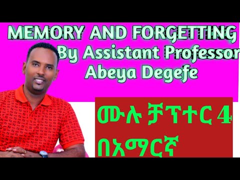 General Psychology: Chapter 4:Memory and Forgetting በአማርኛ - YouTube